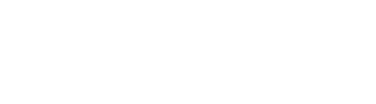 SECIO-IT